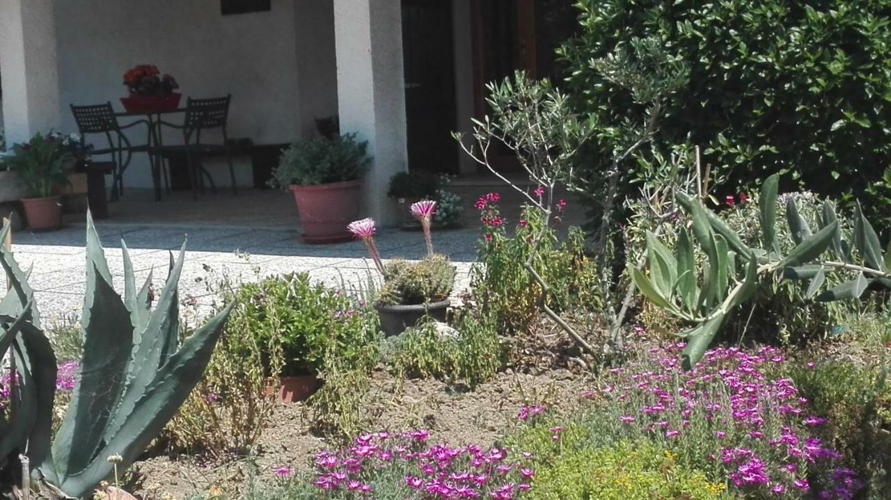 B&B Ripalta Sogliano al Rubicone Exterior foto
